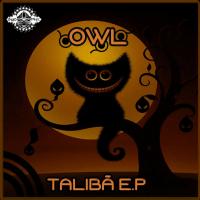 Artwork for Talibã by OWL.