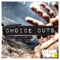 Artwork for Choice Cuts Vol. 005 Mixed by Jason Young by Various Artists