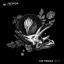 Artwork for Fine (Original Mix)
