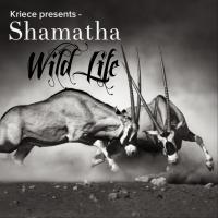 Artwork for Wild Life EP by Kriece