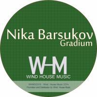 Artwork for Gradium by Nika Barsukov