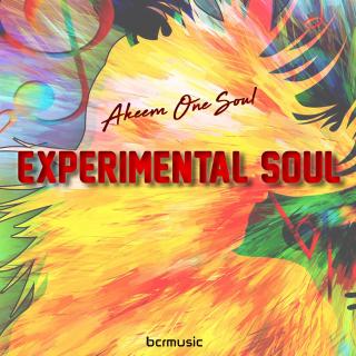 Artwork for Experimental Soul (Future House Mix)