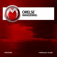 Artwork for Wandering by Orelse