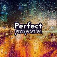 Artwork for Perfect Precipitation by Rain Sounds