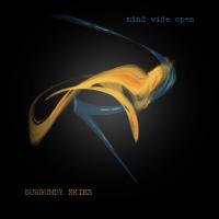 Artwork for Mind Wide Open by Burgundy Skies