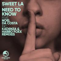 Artwork for Need to Know by Sweet LA