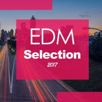 Artwork for EDM Selection 2017 by Various Artists