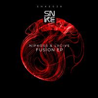 Artwork for Fusion Ep by Nipkoss