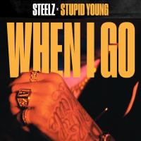 Artwork for When I Go by Steelz