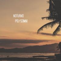 Artwork for Noturno by Polysomni