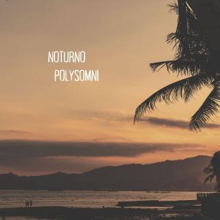 Artwork for Noturno