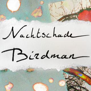 Artwork for Birdman