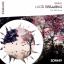 Artwork for Lucid Dreaming (Radio Edit)