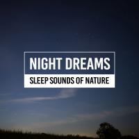Artwork for Night Dreams by Sleep Sounds of Nature