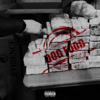 Artwork for Dog Food by Kavi Picasso