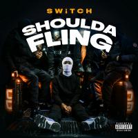 Artwork for Shoulda Fling by Switch