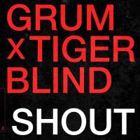 Artwork for Shout by Grum