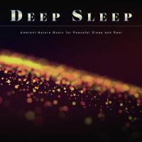 Artwork for Deep Sleep: Ambient Nature Music for Peaceful Sleep and Rest by Deep Sleep