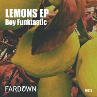 Artwork for Lemons EP by Boy Funktastic