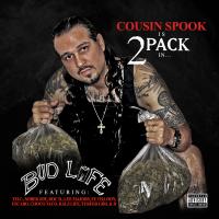 Artwork for Bud Life by Cousin Spook