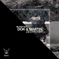 Artwork for Destroyer by Dok & Martin