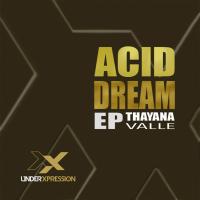 Artwork for Acid Dream by Thayana Valle