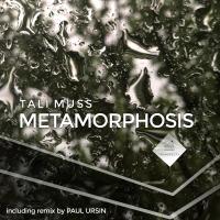 Artwork for Metamorphosis by Tali Muss