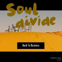 Artwork for Back to Business by Soul Divide