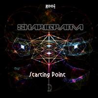 Artwork for Starting Point by Sharigrama