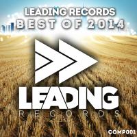 Artwork for Leading Records - Best of 2014 by Various Artists