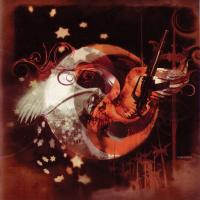 Artwork for The Charity Of Night by Bruce Cockburn