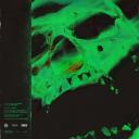 Artwork for Take It Outside (feat. Robb Bank$)