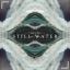 Artwork for Still Water (Original Mix)