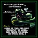 Artwork for Jungle