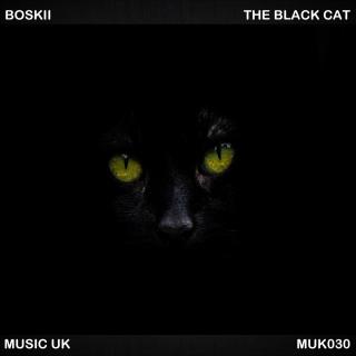 Artwork for The Black Cat (Original Mix)