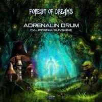 Artwork for Forest of Dreams by Adrenalin Drum