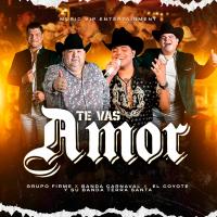 Artwork for Te Vas Amor by Grupo Firme