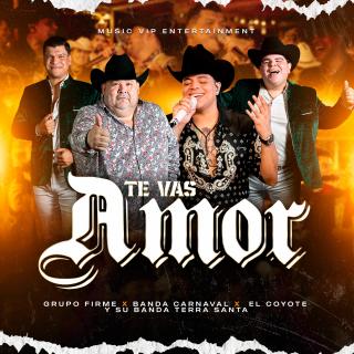 Artwork for Te Vas Amor (En Vivo)