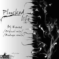 Artwork for Plucked Life by Dj Karas