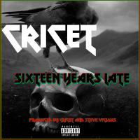 Artwork for Sixteen Years Late by Cricet