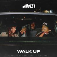 Artwork for Walk Up by Mozzy