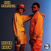 Artwork for Never Knew by Rick Marshall