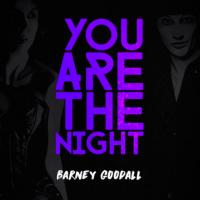 Artwork for You Are The Night by Barney Goodall
