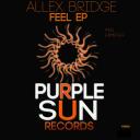 Artwork for Feel (Original Mix)