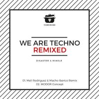 Artwork for We Are Techno by Disaster & Mikele