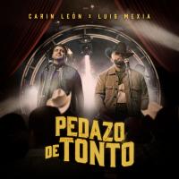 Artwork for Pedazo De Tonto by Carin Leon