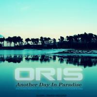 Artwork for Another Day In Paradise by Oris