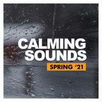 Artwork for Calming Sounds by Rain Sounds