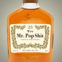 Artwork for Mr. Pop Shit