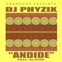 Artwork for Andide (Original Mix) by Dj Phyzix